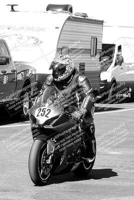 media/Mar-12-2022-SoCal Trackdays (Sat) [[152081554b]]/Around the Pits/